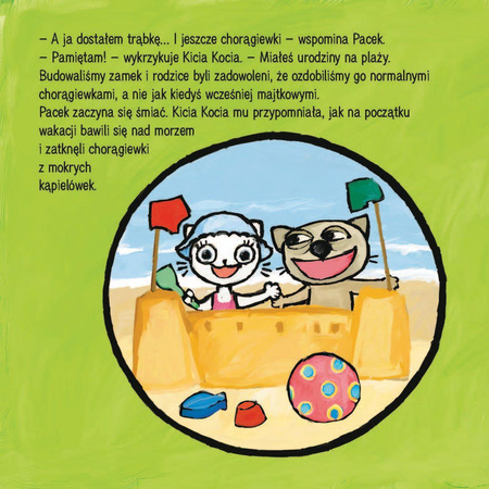 Media Rodzina Książeczka Kicia Kocia Idzie na Urodziny