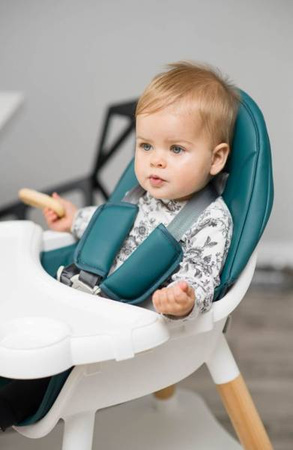 Caretero Tuva Krzesełko do Karmienia Dark Green