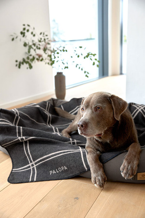 Palopa Fread Legowisko dla Psa Bawełniane Anthracite XS