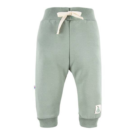 Eevi Pearfect Spodnie Dziecięce Dresowe Zielone 104