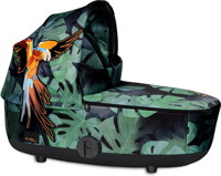 Birds of Paradise