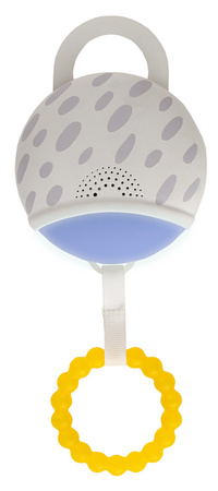 Taf Toys Mata Sala Gimnastyczna