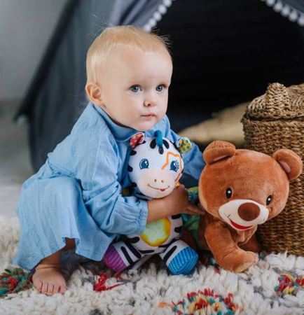 V-TECH Przebojowa Zebra