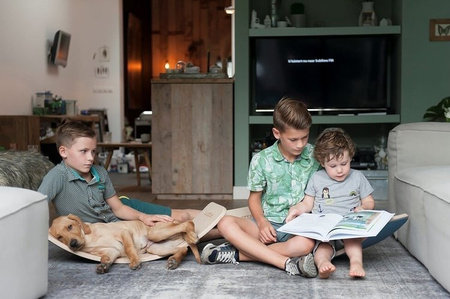 Wobbel Oryginal Deska Do Balansowania z Filcem Transparent Wild Rose