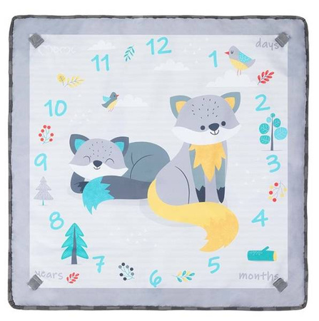 Momi Lammis Mata Edukacyjna