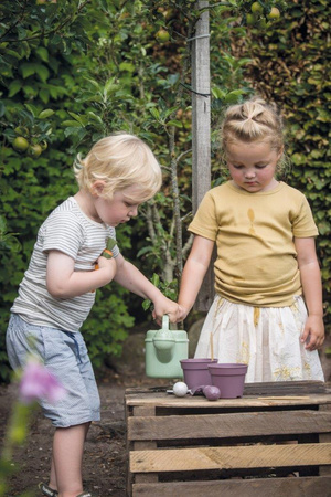 Dantoy GREEN GARDEN Zestaw do sadzenia roślin