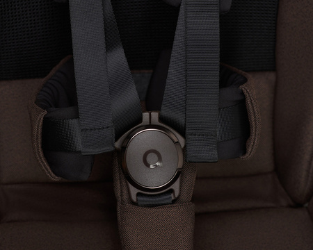 Anex IQ Premium Wózek Głęboko-Spacerowy Teddy