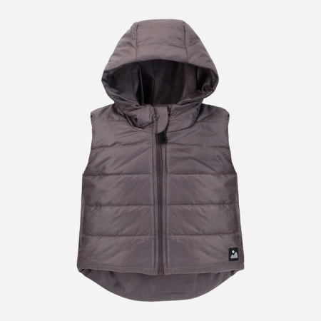 Pinokio Bezrękawnik chłopięcy z kapturem r, 68 cm szary