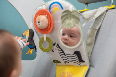 Taf Toys Samochodowe Centrum Aktywności Savannah – Podróżna Zabawka Rozwojowa