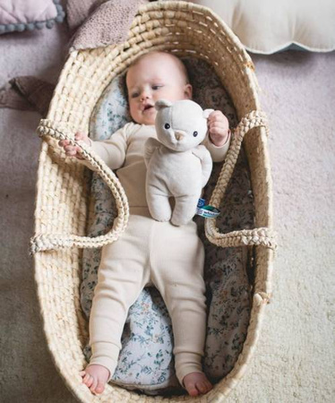 Whisbear Szumiący Miś Śpioszek