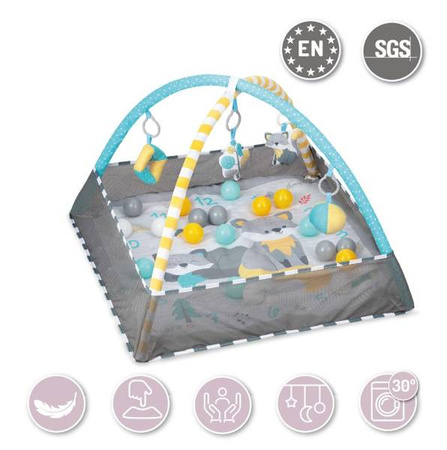 Momi Lammis Mata Edukacyjna