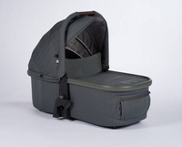 Volcanic Ash / Forest Green