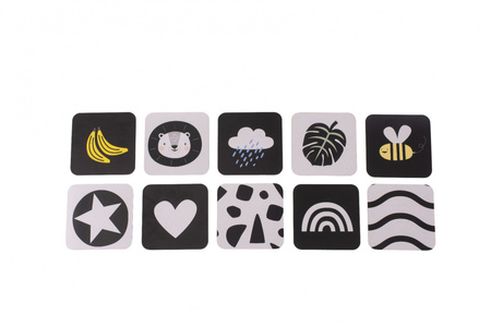 Taf Toys Ilustrowane Karty Savannah z Lusterkiem