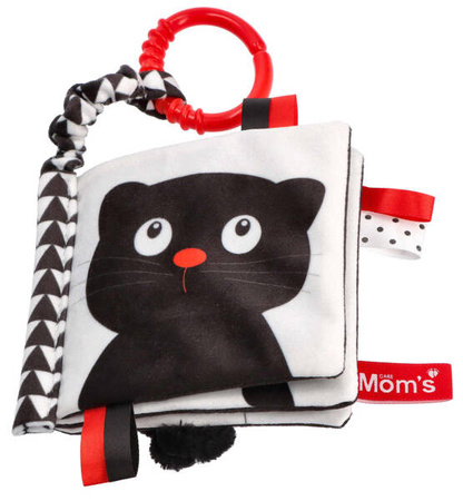 Hencz Moms Care Książeczka Kto to? Co to?