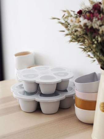 Beaba Silikonowy pojemnik do mrożenia 6 x 90 ml Light mist