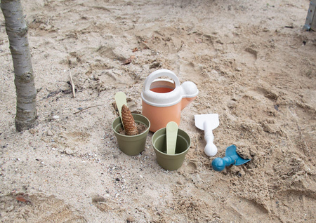 Dantoy BIO zestaw do sadzenia roślin