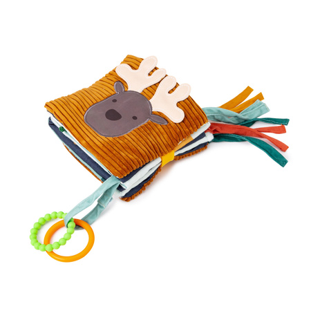 Little Big Friends Pierwszaw Książeczka Las