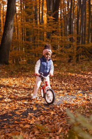 Toyz Brass Rowerek Biegowy Metalowy Red