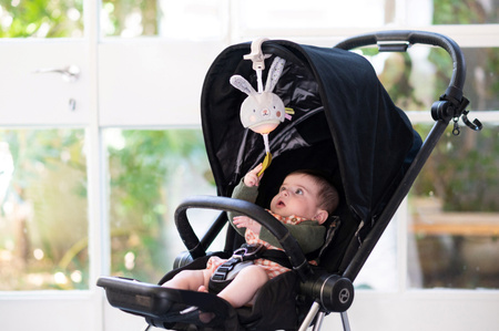 Taf Toys Pozytywka Garden Królik – Zabawka Muzyczna z Melodiami i Białym Szumem