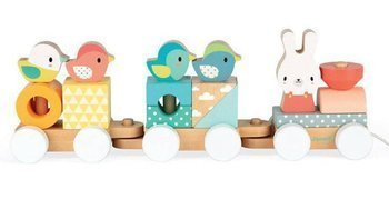 Janod Pure Pociąg z Klockami Do Ciągnięcia 