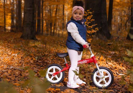 Toyz Brass Rowerek Biegowy Metalowy Red