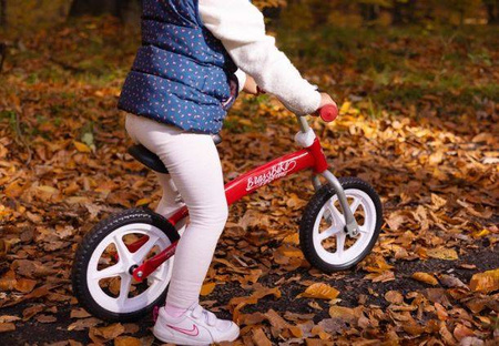 Toyz Brass Rowerek Biegowy Metalowy Red