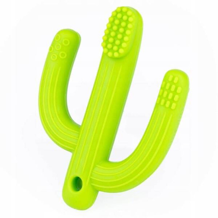 GiliGums Szczoteczka Gryzak Kaktus 3m+