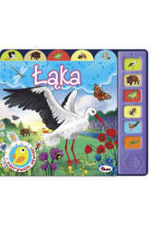 AWM Odkrywam Dżwięki Łąki