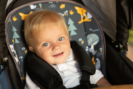 Sensillo Wkładka Do Wózka Wafel Kraina Zwierząt / Szara