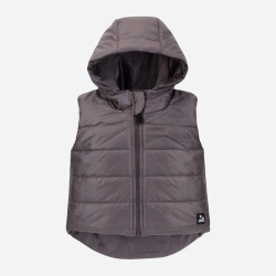  Pinokio Bezrękawnik chłopięcy z kapturem r, 68 cm szary