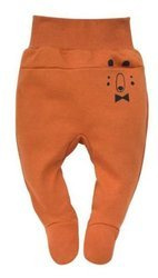 Polspiochy Bears Club 62 Br