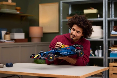 LEGO TECHNIC 42206 Bolid F1 Oracle Red Bull Racin