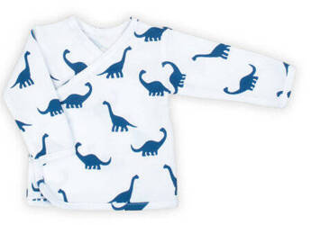 Nicol Kaftanik Długi Rękaw W Dinozaury Rozmiar 68