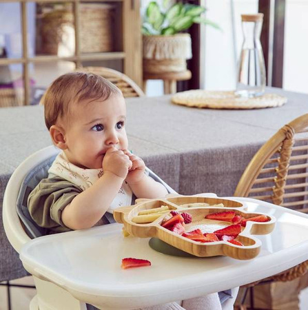 Miniland Eco Friendly Drewniana Miseczka z Przyssawką i Przegródkami Żabka