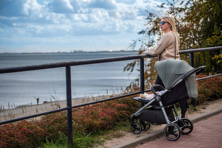 Espiro Wave Wózek Spacerowy 319 Timeless Rapsody