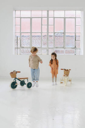 Banwood Rowerek trójkołowy Trike Dark Green