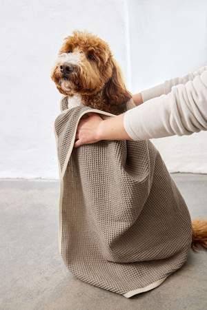Palopa Ręcznik dla Psa Nobs Taupe S