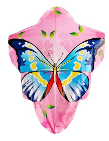 Latawiec Edu&Fun 110399