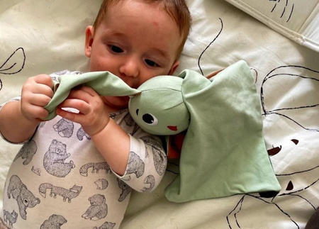 Tiny Love Zestaw Zabawek Dla Dzieci - Garden of Adventure