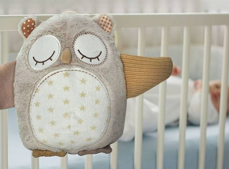 Cloud B Nighty Night Owl Smart Sensor Szumiąca Sowa z Czujnikiem Dźwięku i Pozytywką