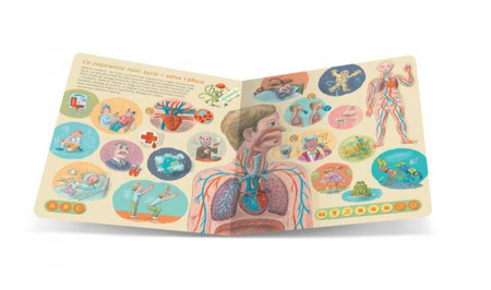 Albi Czytaj Z Albikiem Książka Ciało Człowieka