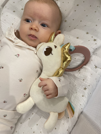 Tiny Love Zawieszka Pozytywka Muzyczna Gitara - Kraina Jednorożca