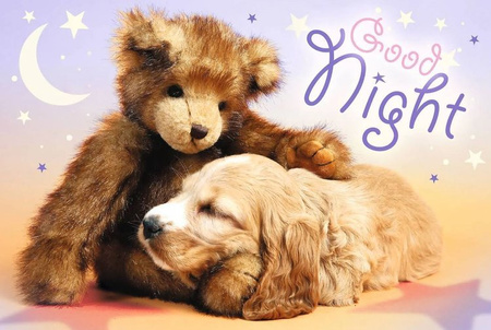 Trefl Puzzle 60 Elementów Sweet&Lovely Słodkich Snów