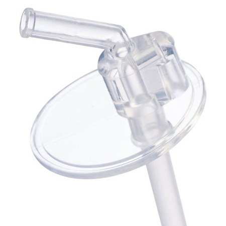 B. Box Bidon Termiczny 350 ml Lemon Sherbet