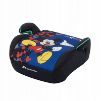 Fun Mickey