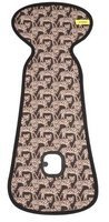 Leopards