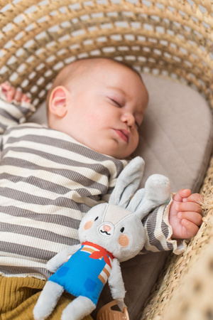 Taf Toys Zawieszka Króliczek Rylee z Gryzakiem – Kolekcja Urban Garden