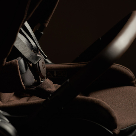 Anex IQ Premium Wózek Głęboko-Spacerowy Teddy