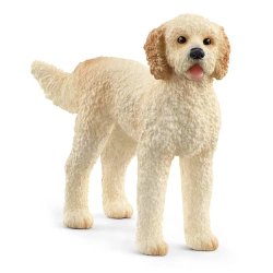 Schleich Figurka Rasa goldendoodle Pies 13939