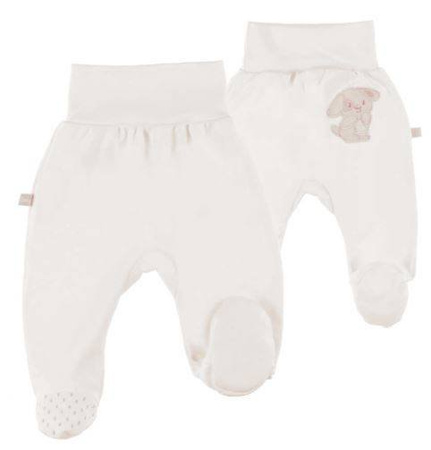 Półśpiochy Nebworn r.62